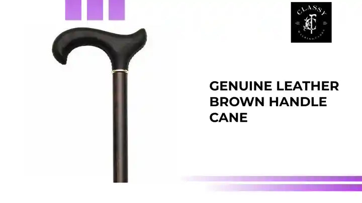 Genuine Leather Brown Handle Cane by@Outfy