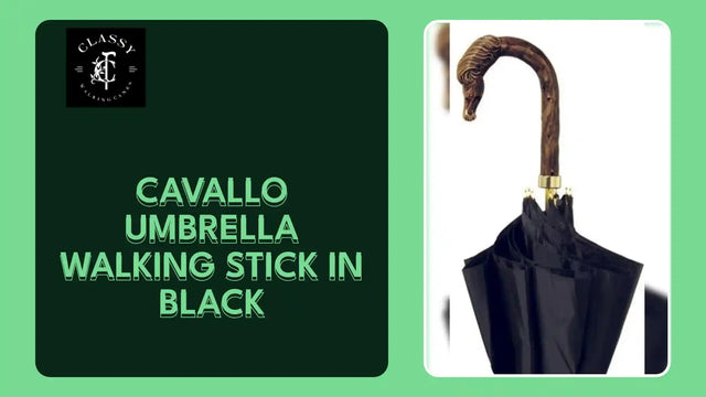 Cavallo Umbrella Walking Stick in Black by@Outfy