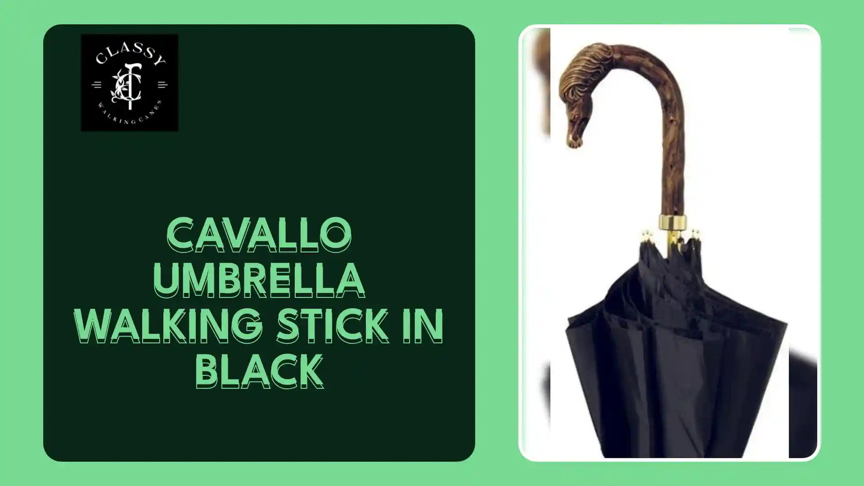 Cavallo Umbrella Walking Stick in Black by@Outfy