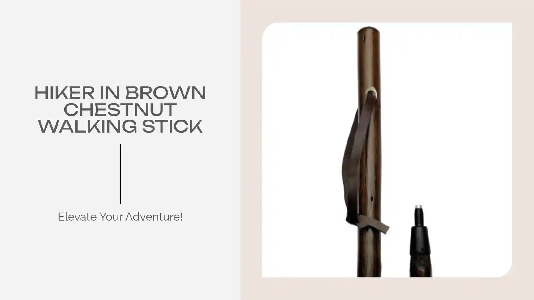Hiker in Brown Chestnut Walking Stick by@Outfy