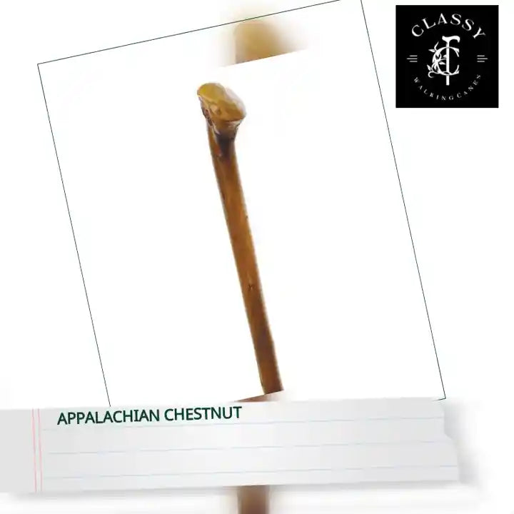 Appalachian Chestnut by@Outfy