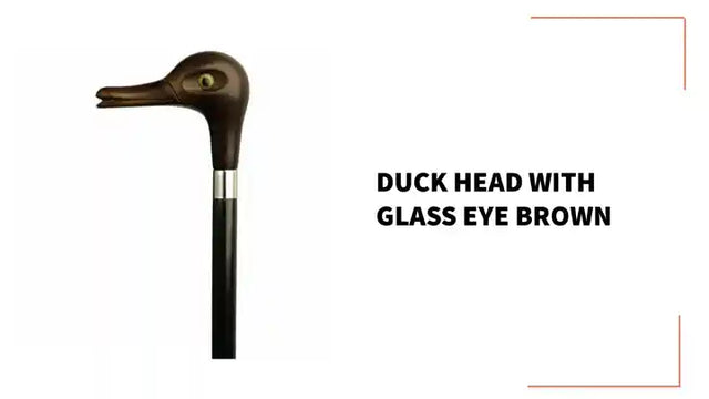 Duck Head with Glass Eye Brown by@Outfy