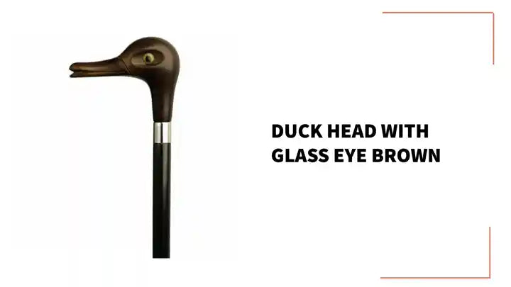 Duck Head with Glass Eye Brown by@Outfy