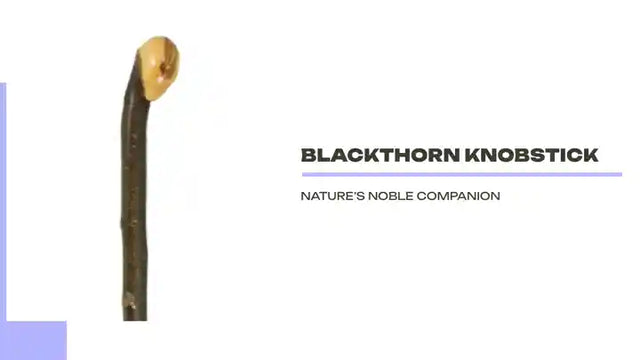 Blackthorn Knobstick by@Outfy