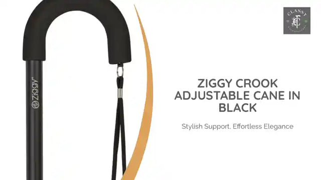 Ziggy Crook Adjustable Cane in Black by@Outfy