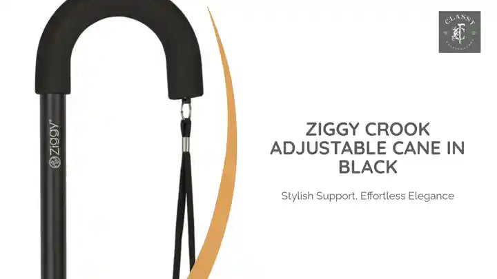 Ziggy Crook Adjustable Cane in Black by@Outfy