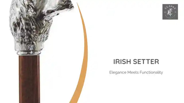 Irish Setter by@Outfy