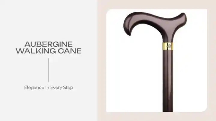 Aubergine Walking Cane by@Outfy