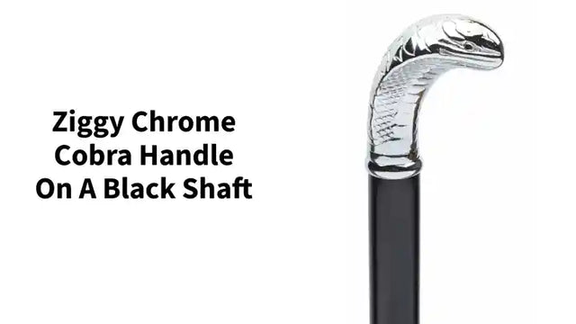 Ziggy Chrome Cobra Handle on a Black Shaft by@Outfy