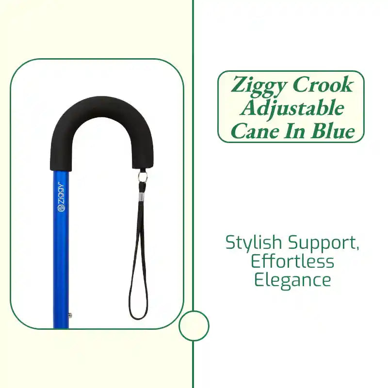 Ziggy Crook Adjustable Cane in Blue by@Outfy