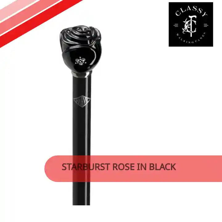 Starburst Rose in Black by@Outfy