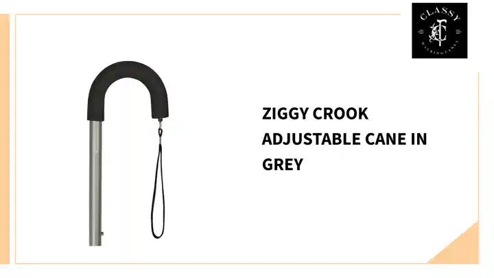 Ziggy Crook Adjustable Cane in Grey by@Outfy