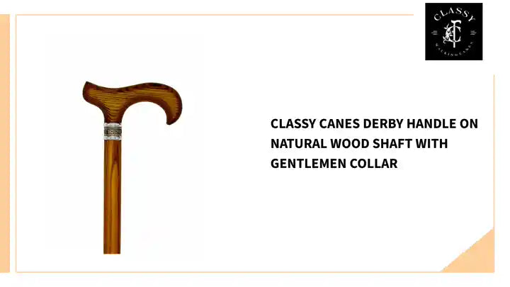 Classy Canes Derby Handle on Natural Wood Shaft with Gentlemen Collar by@Outfy