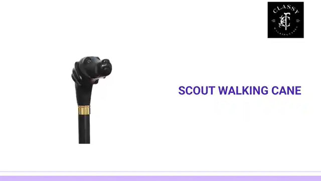 Scout Walking Cane by@Outfy