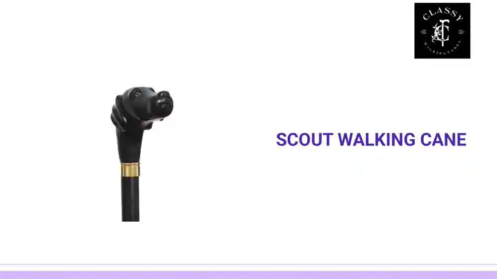 Scout Walking Cane by@Outfy