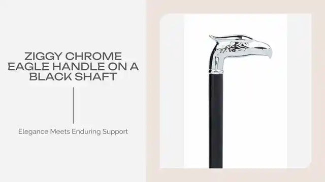 Ziggy Chrome Eagle Handle on a Black Shaft by@Outfy