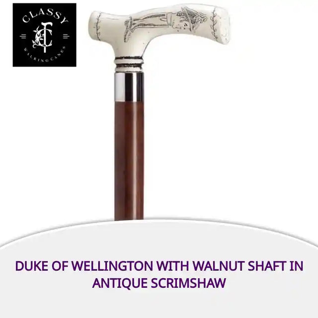 Duke Of Wellington with Walnut Shaft in Antique Scrimshaw by@Outfy
