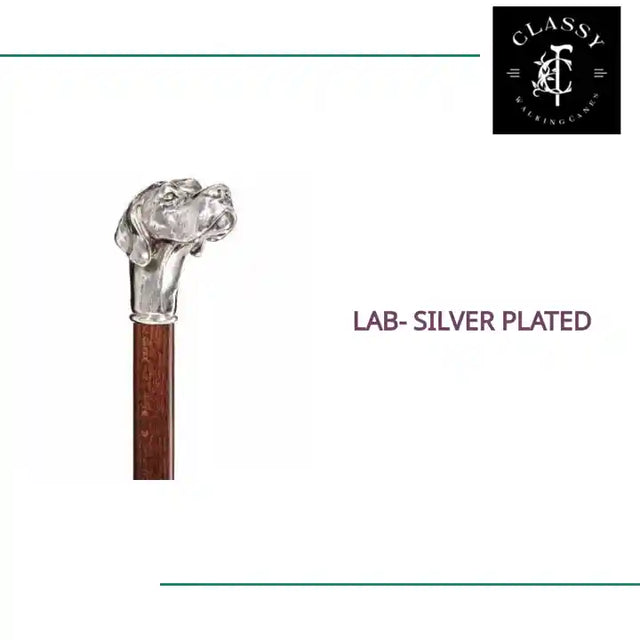 Lab- Silver Plated by@Outfy