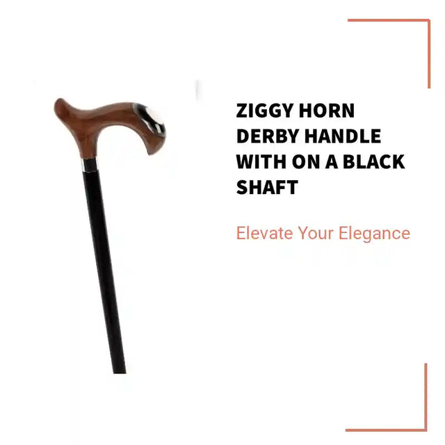 Ziggy Horn Derby Handle with on a Black Shaft by@Outfy