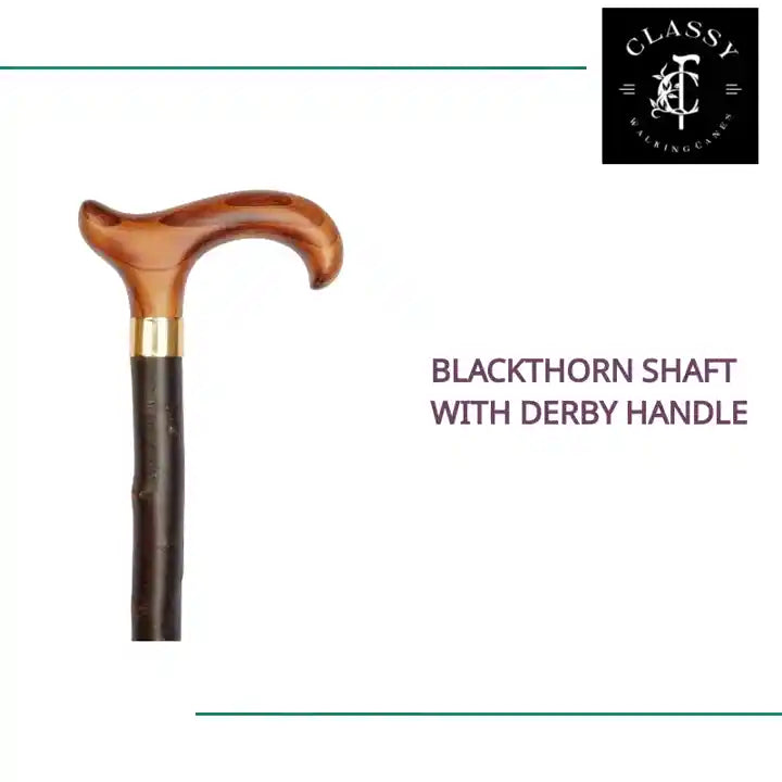 Blackthorn Shaft with Derby Handle by@Outfy
