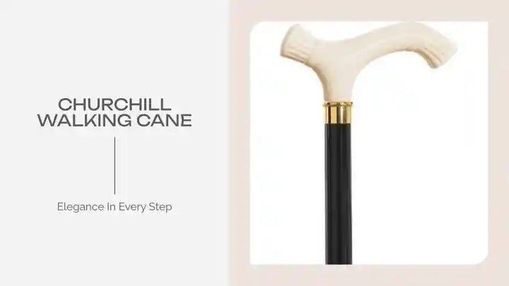 Churchill Walking Cane by@Outfy