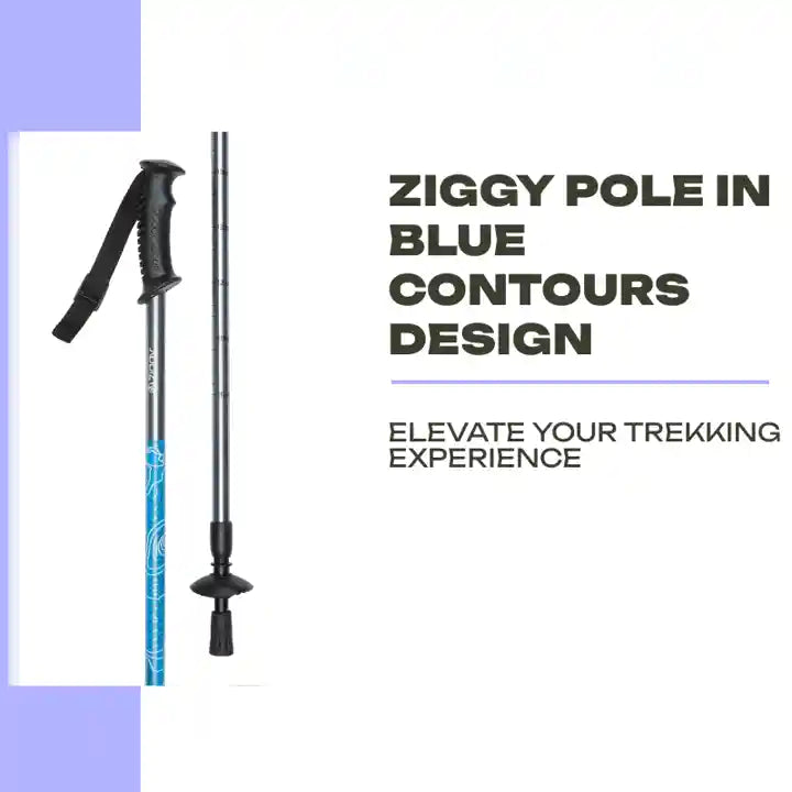 Ziggy Pole in Blue Contours Design by@Outfy