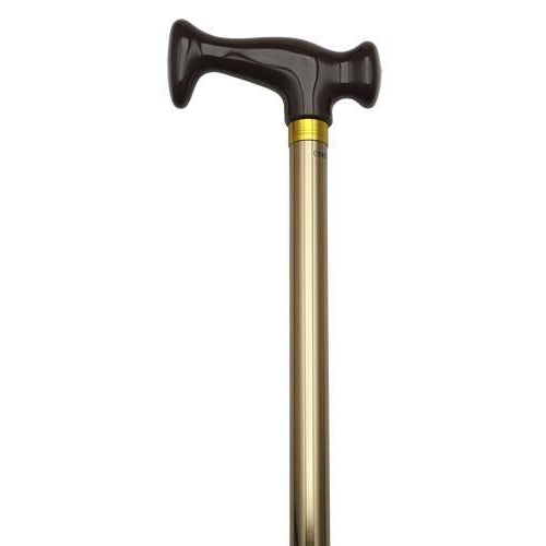 Bronze Plated Walking Canes