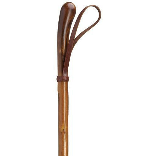 Knotted English Chestnut with Leather Loop-Classy Walking Canes
