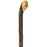 Classy Blackthorn Knobstick-Classy Walking Canes